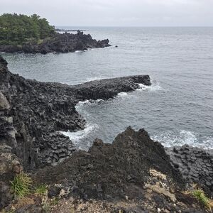 Meet your Posher, L'amie